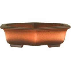 Bonsaischale 22.5x19.5x5.5cm Antik-Rotbraun Sechseckig Unglasiert