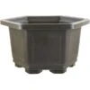 Bonsaischale 33.6x33.6x20.3cm Dunkelbraun Sechseckig Kunststoff